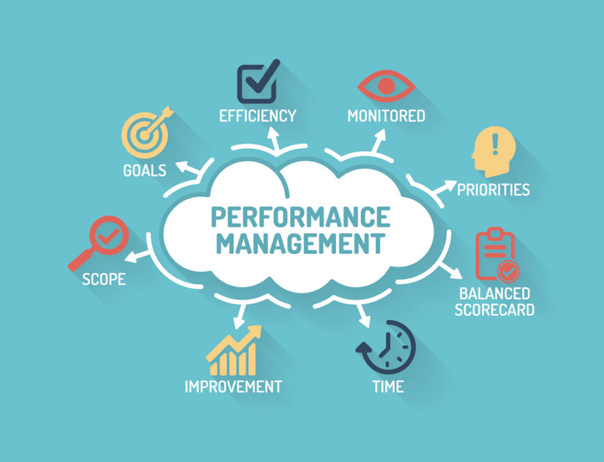 performance management consulting