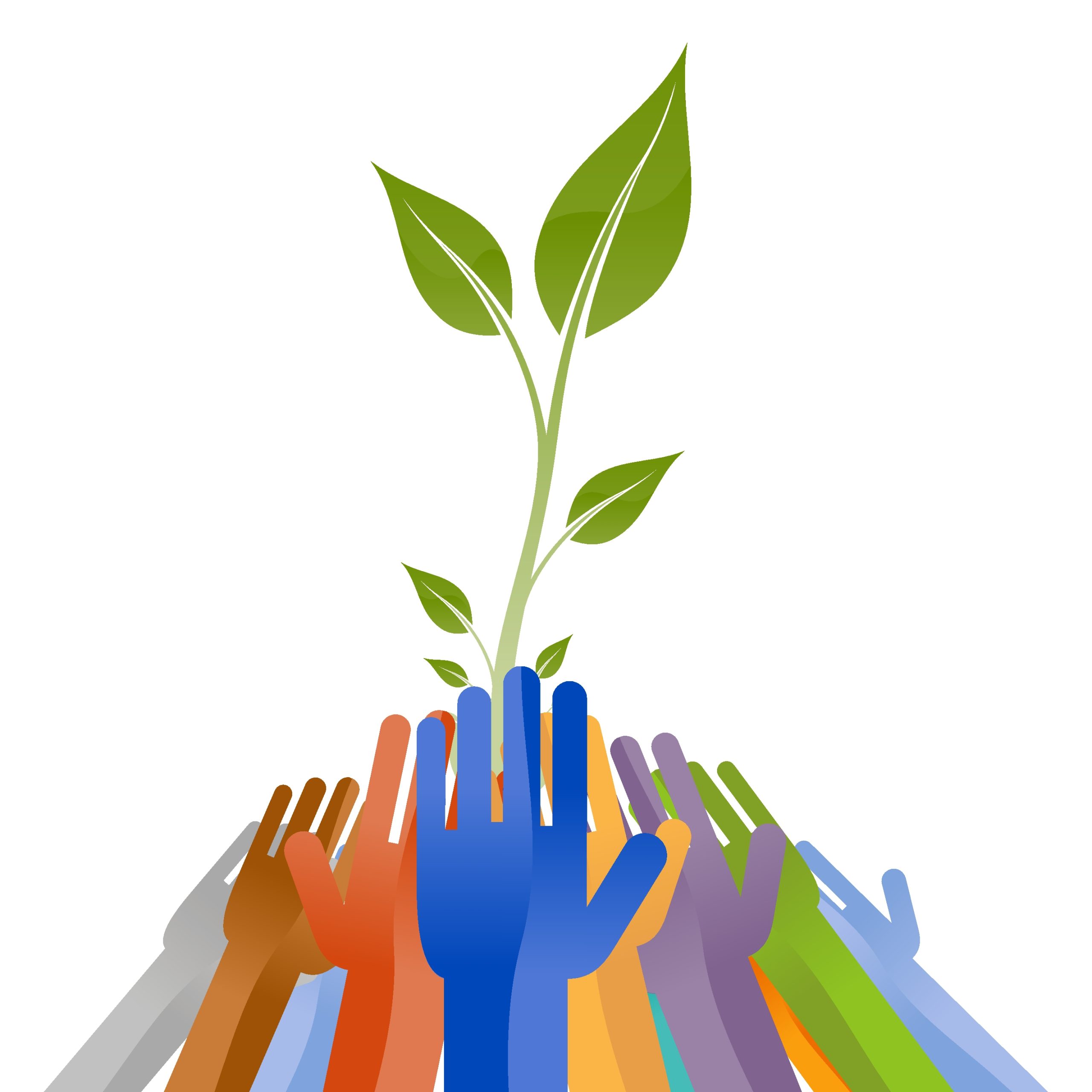 Organisational Development