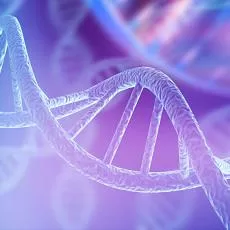 how genetics form self-image