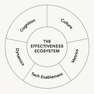 Effectiveness Ecosystem