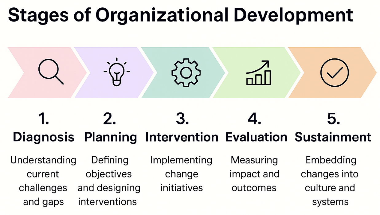Stages of Organizational Development