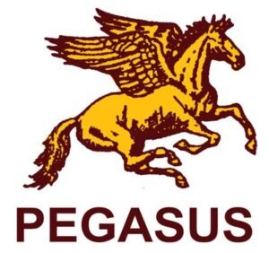 Pegasus Institute Logo